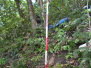 MS_622_F3_pan