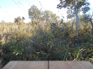 MS_675_F3_pan