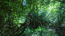 MS_688_F5_4