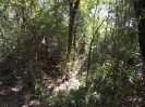 MS_68_F3_pan