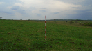 MS_690_F3_pan