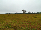 MS_696_F3_pan