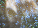MS_736_F9_2_9