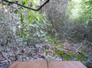 MS_739_F3_pan