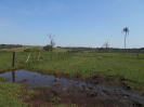 MS_762_F3_pan