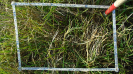 MS_787_F9_2_2