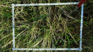 MS_787_F9_2_9