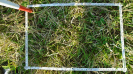 MS_787_F9_3_10