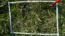 MS_787_F9_3_9
