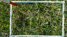 MS_787_F9_4_1