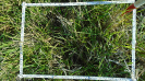 MS_787_F9_4_2