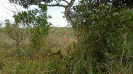 MS_790_F3_pan