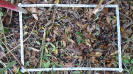 MS_790_F9_3_10