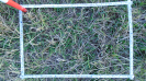 MS_791_F9_4_1
