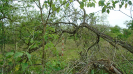 MS_814_F3_pan