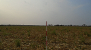 MS_818_F3_pan