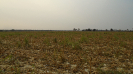 MS_818_F5_1