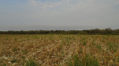MS_818_F5_2