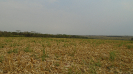 MS_818_F5_3