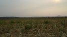 MS_818_F5_4