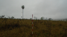 MS_820_F3_pan