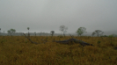 MS_820_F5_1