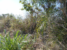 MS_822_F3_pan