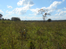 MS_89_F3_pan