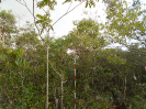 MT_1113_F3_pan