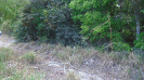 MT_1127_F3_pan