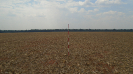 MT_1131_F3_pan