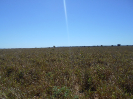MT_1736_F3_pan