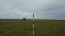 MT_1478_F3_pan