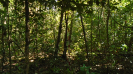 MT_1613_F3_pan