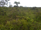 MT_1675_F3_pan