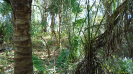 MT_1682_F3_pan