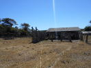 MT_1684_F3_pan