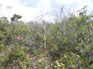 MT_1699_F3_pan