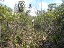 MT_1702_F3_pan