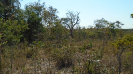 MT_1715_F3_pan