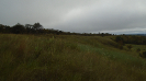 MT_1819_F3_pan