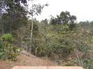 MT_1972_F3_pan