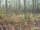 MT_2101_F3_pan