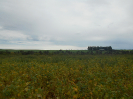 MT_2239_F3_pan