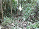 MT_355_3_15