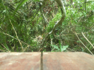 MT_35_3_2595