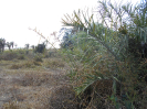 MT_460_F3_pan