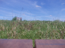 MT_461_4_0991