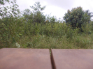 MT_474_3_0598