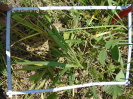 PA_1001_4_42b